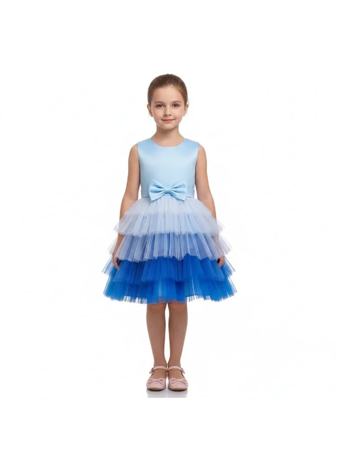 D'Daniela Ombre Tulle Dress